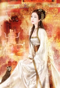穿進贅婿爽文，我卻是惡毒前妻